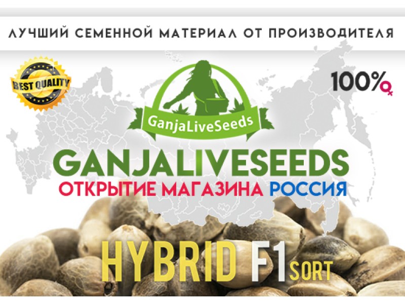 GanjaLiveSeeds теперь и в России!