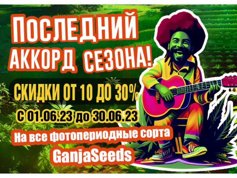 Последний аккорд сезона