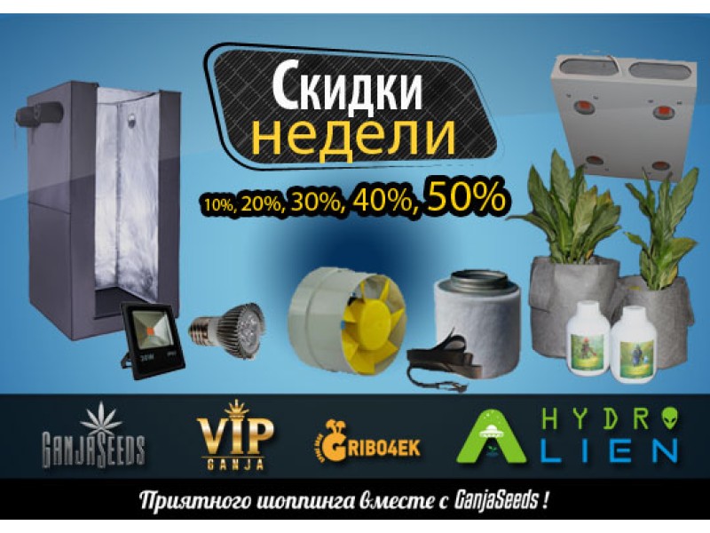 Обновление в скидках недели!