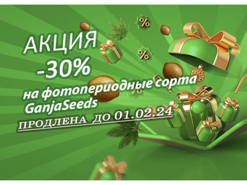 Новогодняя распродажа на GanjaSeeds продолжается!