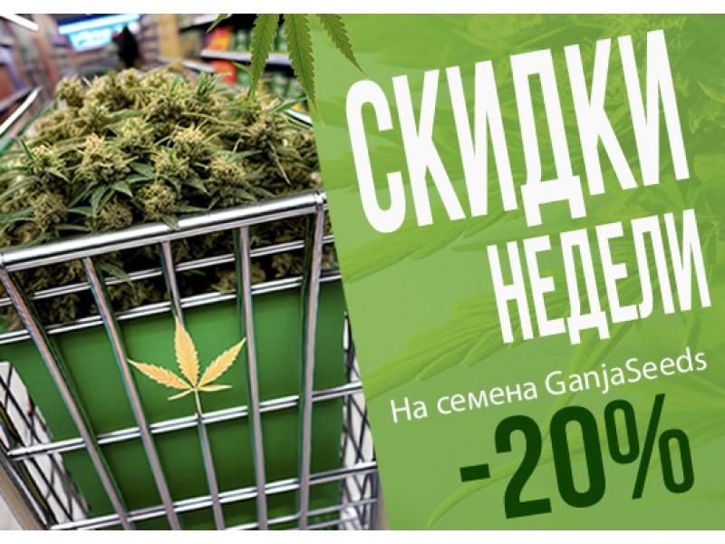 ТОП 10 Зима 2024. Неделя скидок от GanjaSeeds!