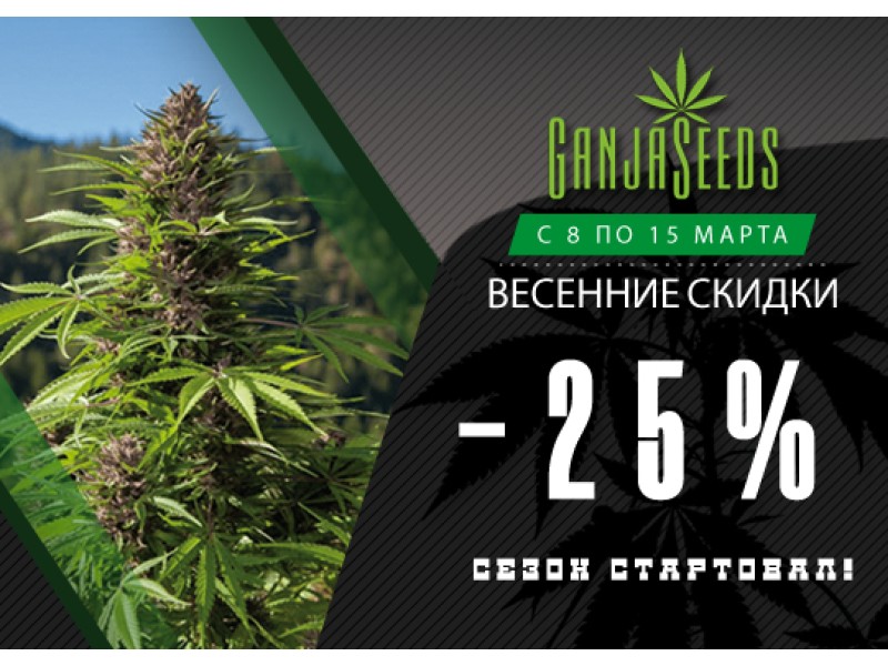 GanjaSeeds, GanjaVIP и Gribo4ek предлагают встретить весну вместе!