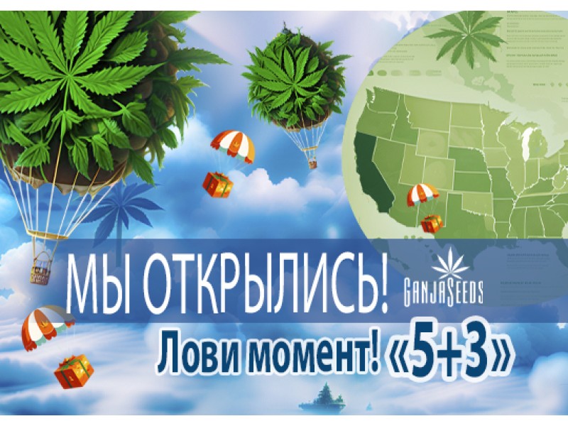 Сидшоп GanjaSeeds теперь в США!