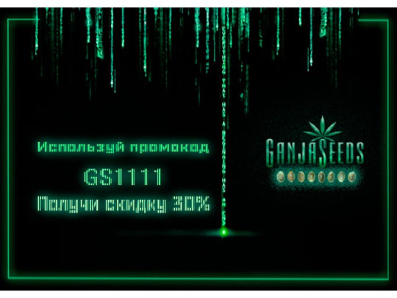 Не пропустите день уникальных скидок в GanjaLiveSeeds