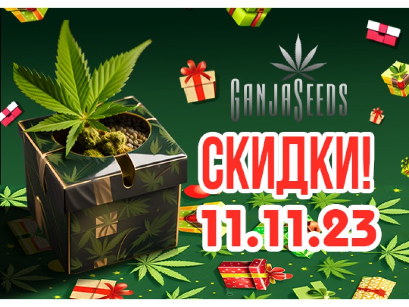Пусть начнется обратный отсчет!