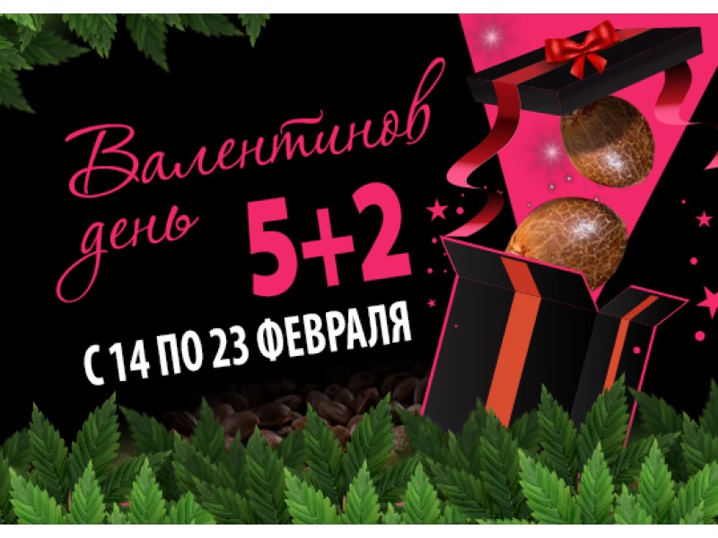 Как бесплатно получить семена от GanjaSeeds
