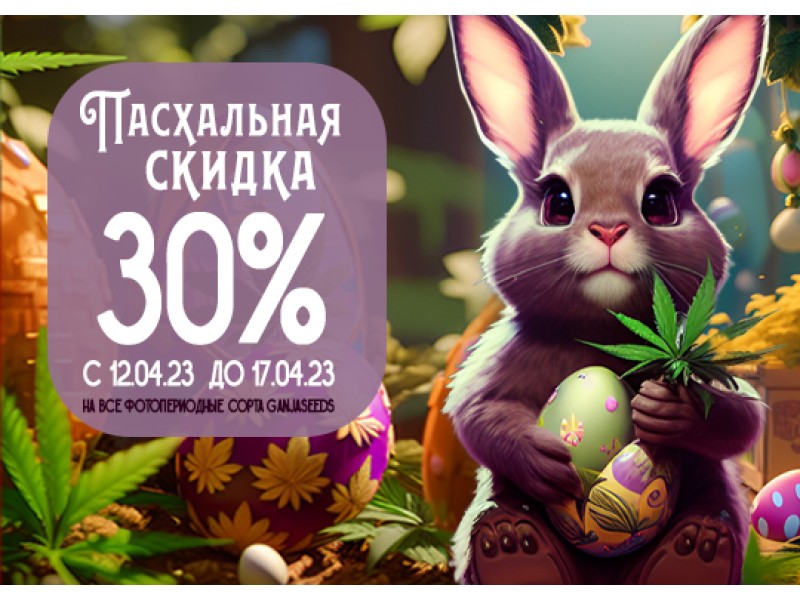 Праздничное предложение невероятных скидок от GanjaSeeds!