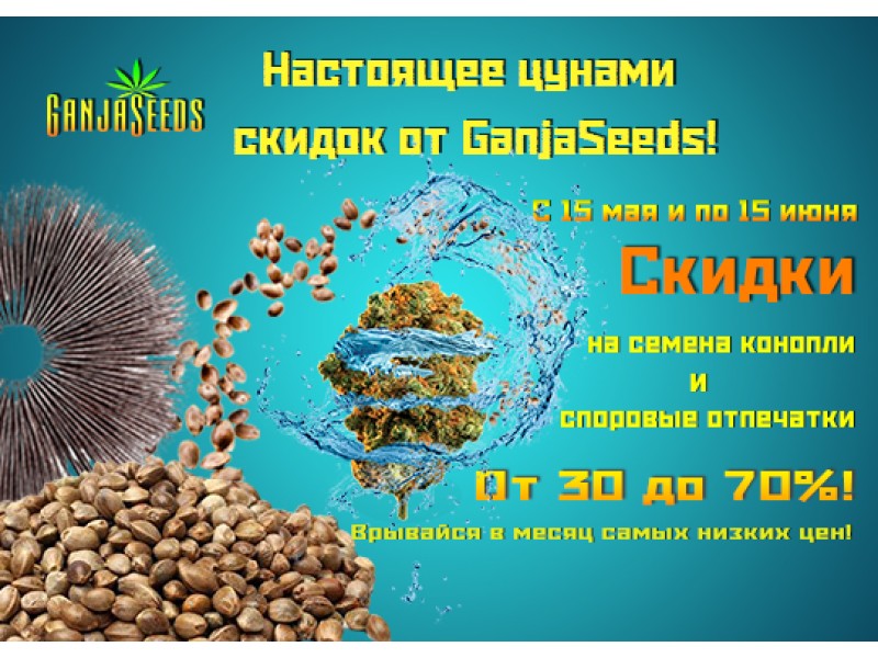 Цунами скидок! Дешевле только даром!