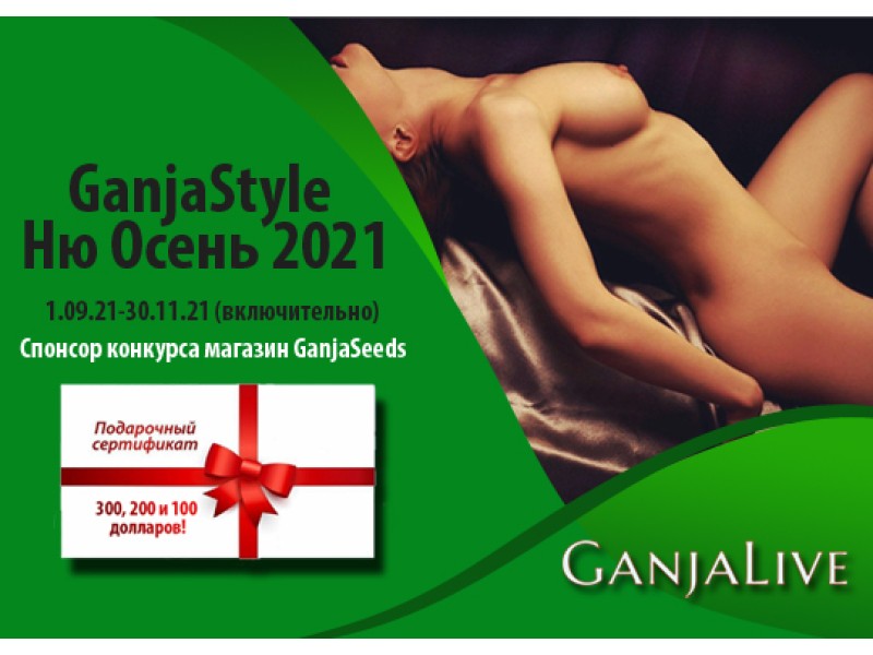 Как выиграть главный конкурс года «GanjaStyle Ню Осень 2021» с призами на 600 $