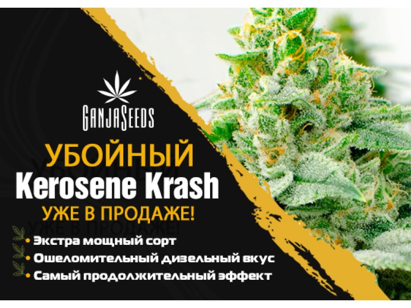 Раздаем семена Kerosene Krash feminised под репорт!