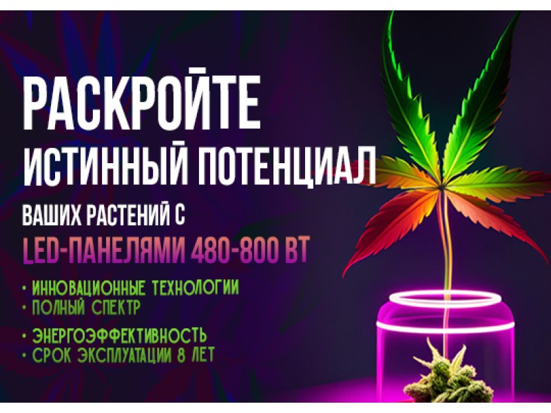 Раскройте истинный потенциал ваших растений с LED-панелями 480-800 Вт