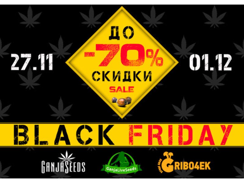 Black Friday Sale!