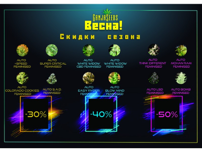 ​Семена конопли по смешным ценам – скидки до 50%!