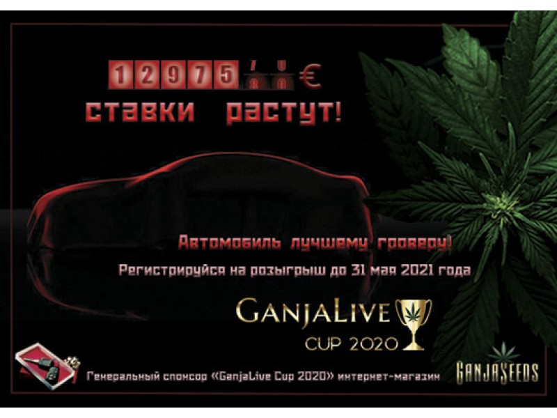 Как не прозевать победу и заполучить авто на «GanjaLive Cup 2020»