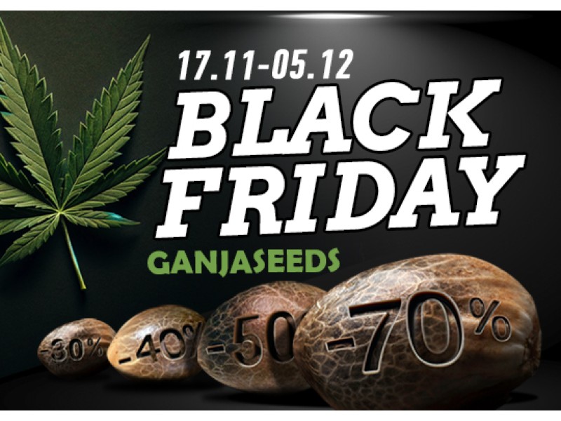 Черная пятница с GanjaSeeds в самом разгаре!