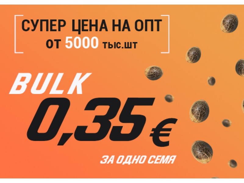 Налетай, не скупись - обвальные оптовые цены на семена конопли до 0,35 евро!