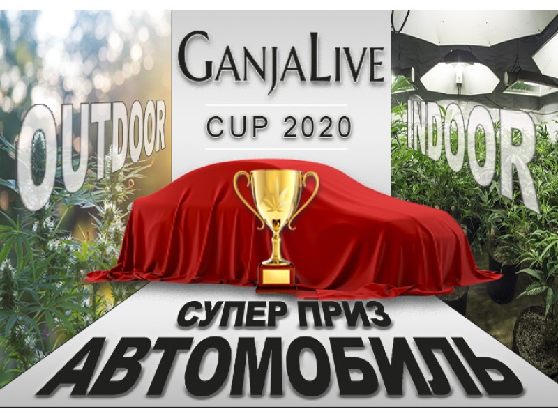 Один конкурс – один приз. Но какой!