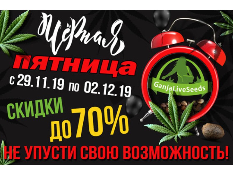 GanjaLiveSeeds приглашает на Black Friday!