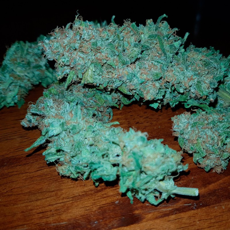 Auto Sweet Trainwreck feminised Ganja Seeds