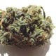 White Blueberry Pie feminised GanjaLiveSeeds