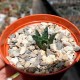 Ariocarpus fissuratus var. hintonii