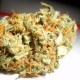 Auto Mango feminised Ganja Seeds - 2 насінини