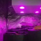 Гроубокс в сборе Джин 1000х1000х2000 + Гагарин 3