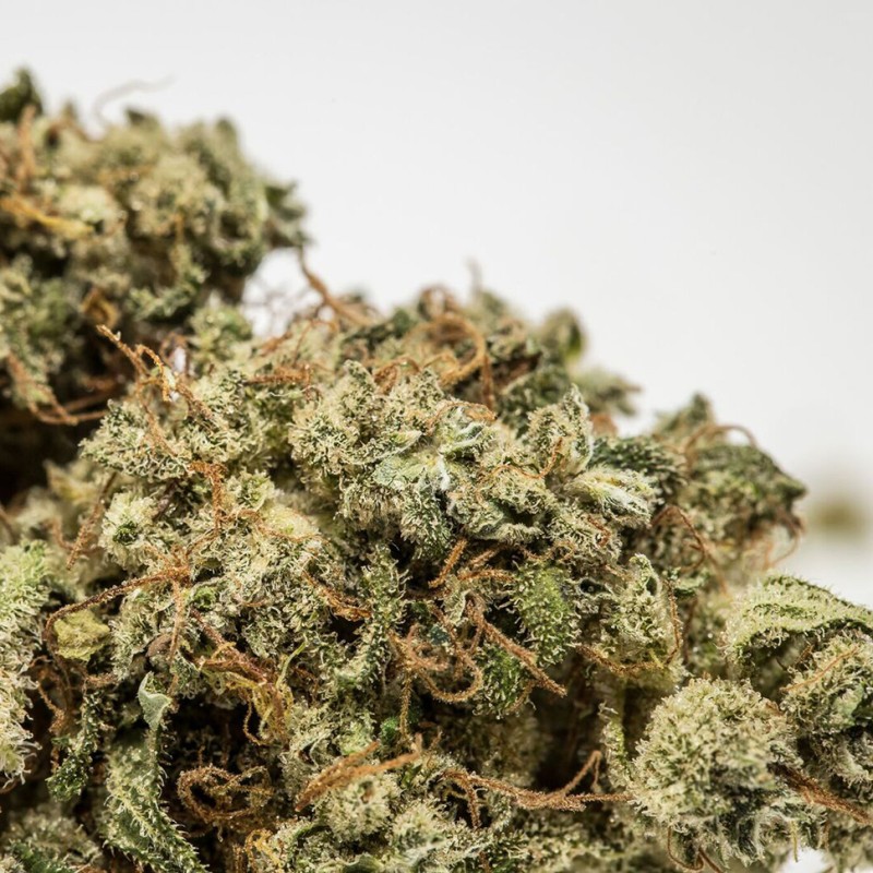 Afghan Haze feminised Ganja Seeds