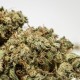 Afghan Haze feminised Ganja Seeds