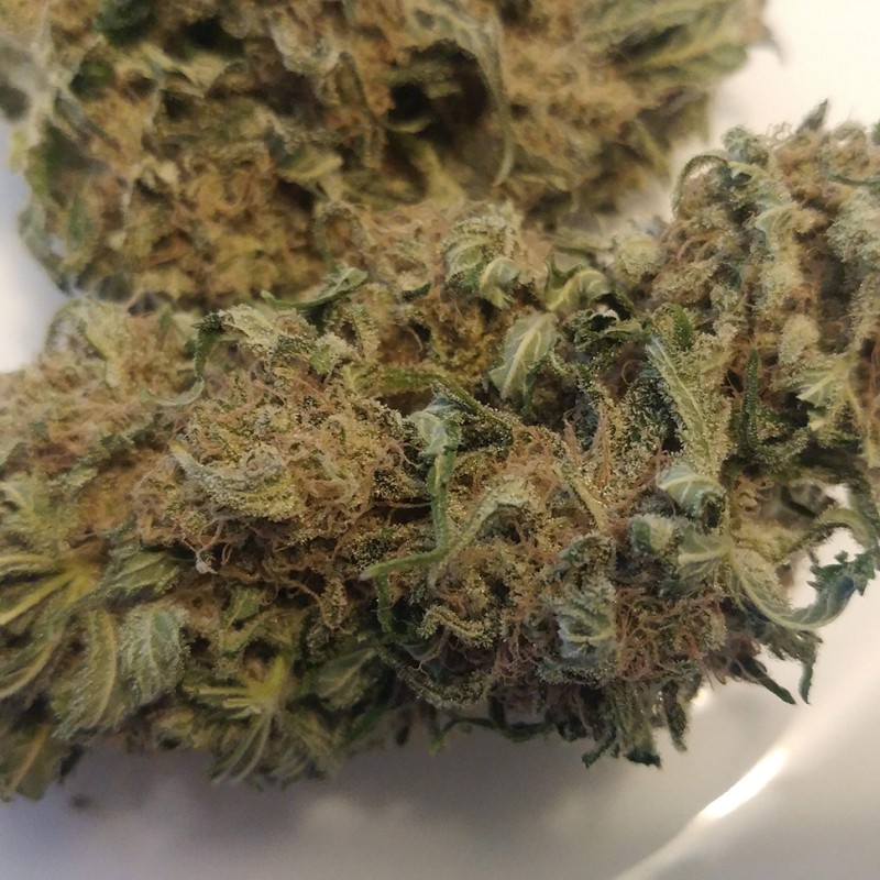 Afghan feminised Ganja Seeds - 2 насінини