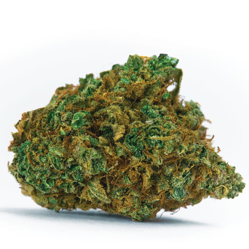 Auto White Dwarf CBD feminised GanjaLiveSeeds