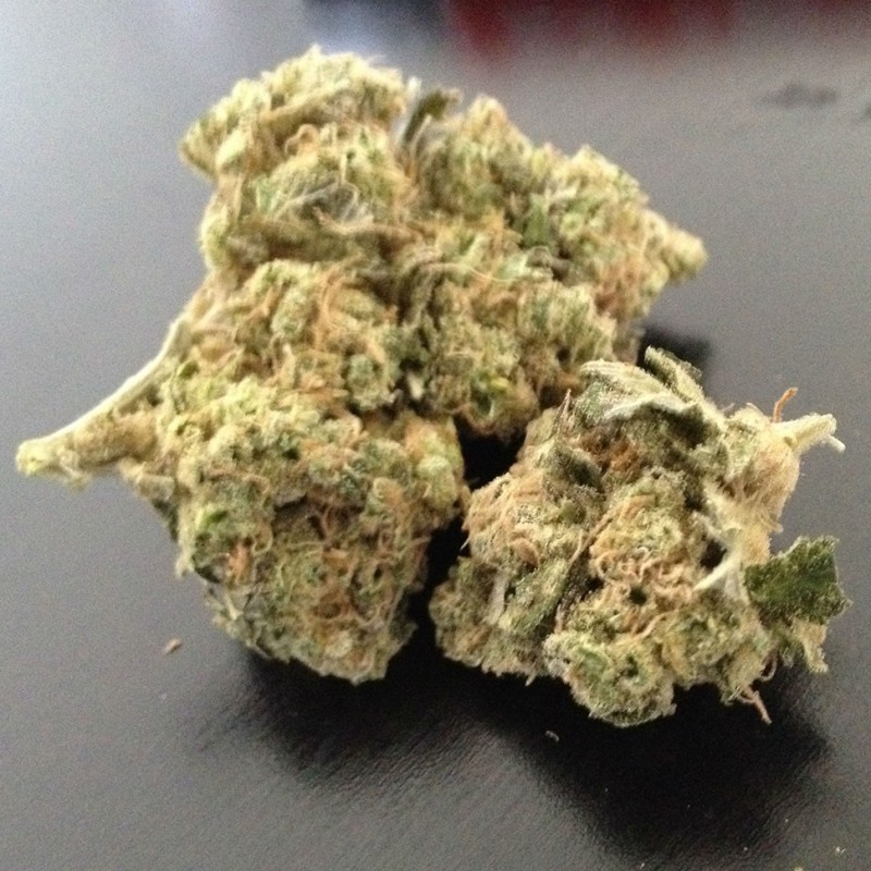 Grapefruit Diesel feminised GanjaLiveSeeds