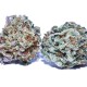 Colombian Gold feminised Ganja Seeds - 2 насінини