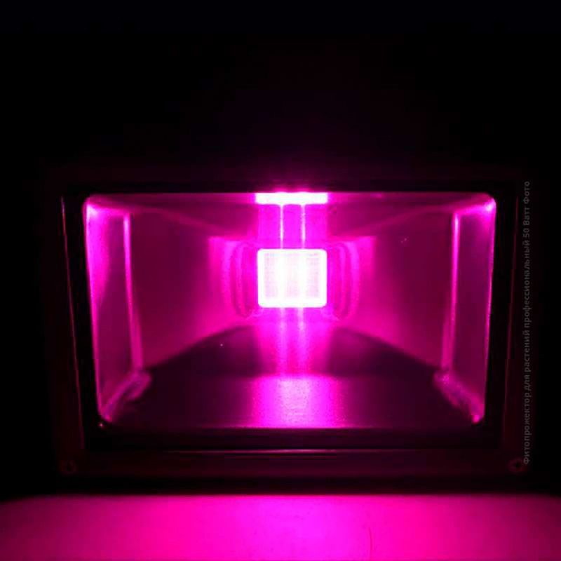 Фитопрожектор ЛЮКС 50 Вт