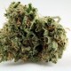 Grapefruit Diesel feminised Ganja Seeds - 2 насінини