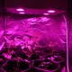 Гагарин 1 LED - светодиодный фитосветильник