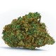 Auto White Dwarf CBD feminised Ganja Seeds - 2 насінини