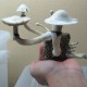 Albino A+