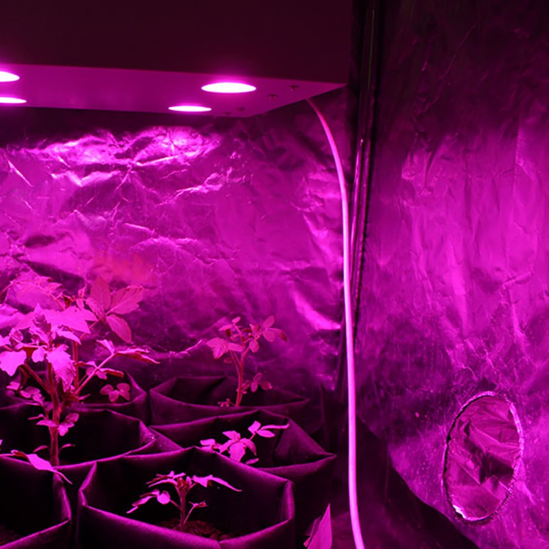 Гагарин 4 LED - светодиодный фитосветильник