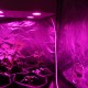 Гагарин 4 LED - светодиодный фитосветильник