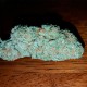 Auto Hell's Angel OG feminised Ganja Seeds