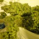 Auto Pineapple feminised Ganja Seeds - 777 насінин