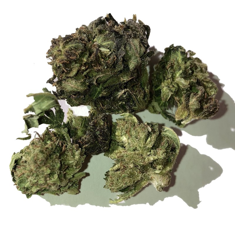 Blue Himalaya feminised Ganja Seeds