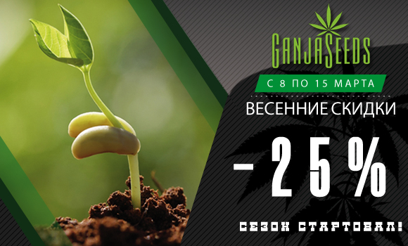 GanjaSeeds, GanjaVIP и Gribo4ek предлагают встретить весну вместе!