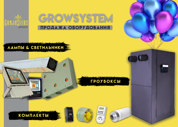 Торжественное открытие гроушопа на GanjaLiveSeeds