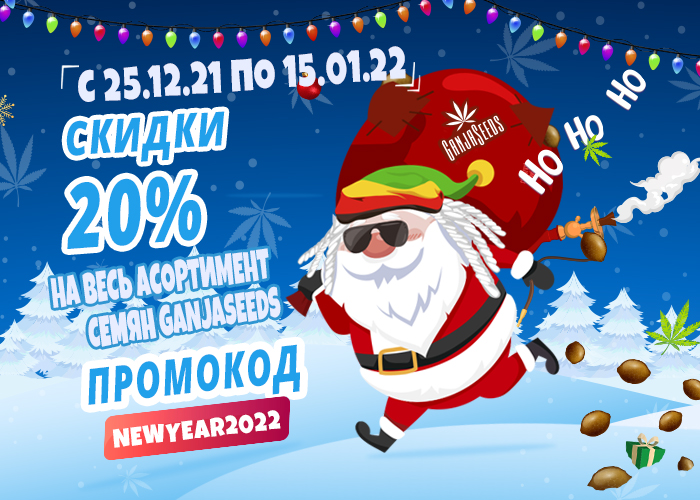 Последние скидки года от GanjaSeeds