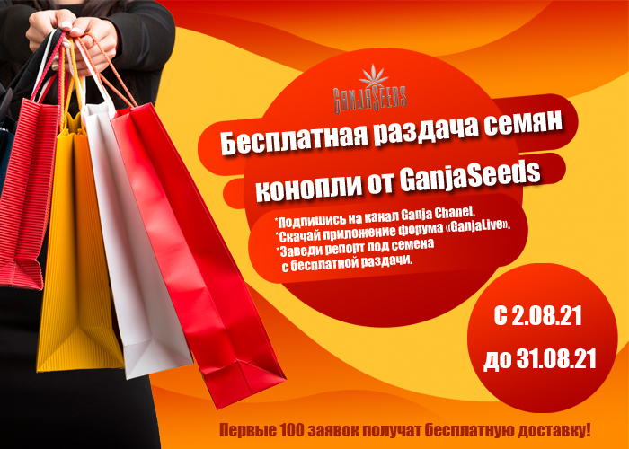 Раздача бесплатных семян конопли от GanjaSeeds