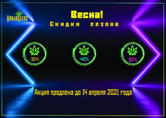 Скидки на семена конопли! Что такое настоящая лояльность GanjaSeeds и как ее использовать