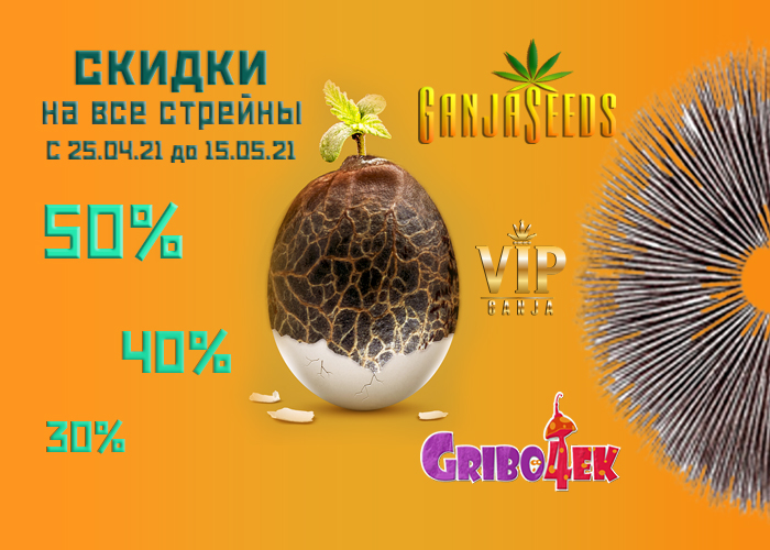 Пасхальная акция на споровые отпечатки грибов и семена конопли 