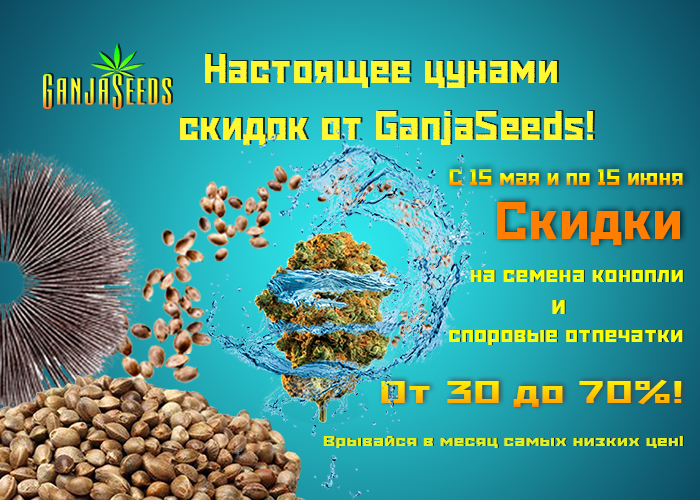 Цунами скидок! Дешевле только даром!